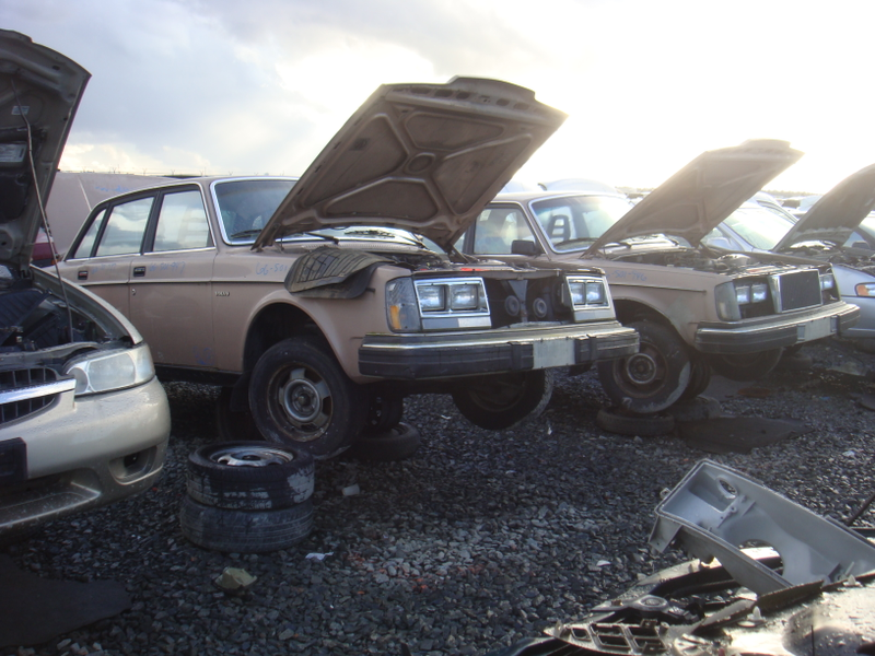 Illustration for article titled Tacoma Junkyard Revisited